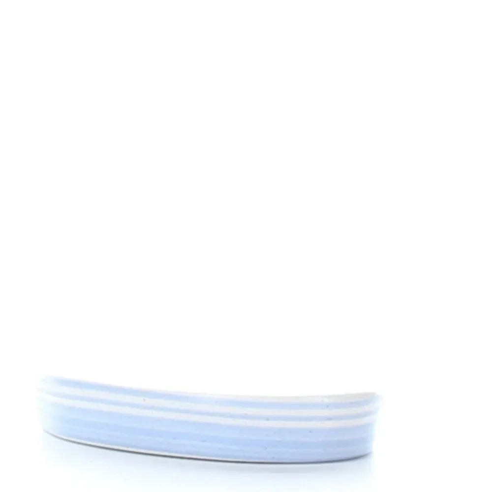 Blue and White Soap Dish